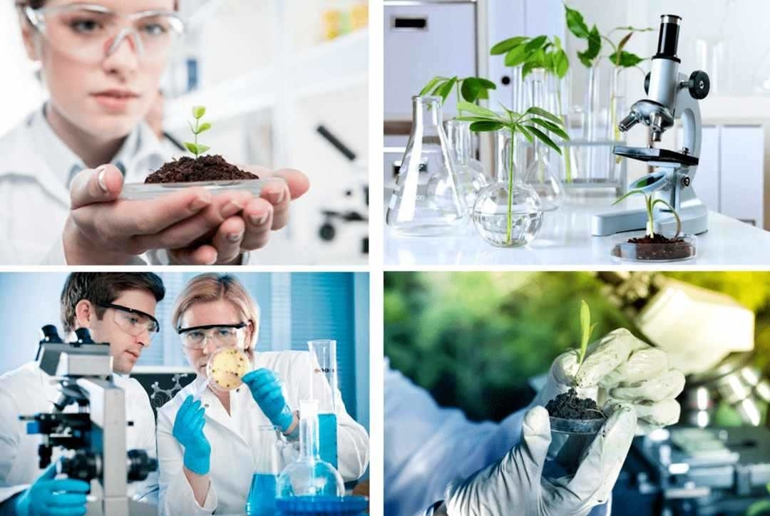 Thúc đẩy cơ chế đặt hàng nhiệm vụ khoa học gắn với nhu cầu thực tế của doanh nghiệp và địa phương. Thúc đẩy cơ chế đặt hàng nhiệm vụ khoa học gắn với nhu cầu thực tế của doanh nghiệp và địa phương.