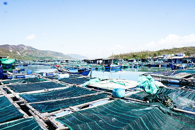 Giải bài toán áp lực môi trường cho vùng nuôi trồng thủy sản Giải bài toán áp lực môi trường cho vùng nuôi trồng thủy sản