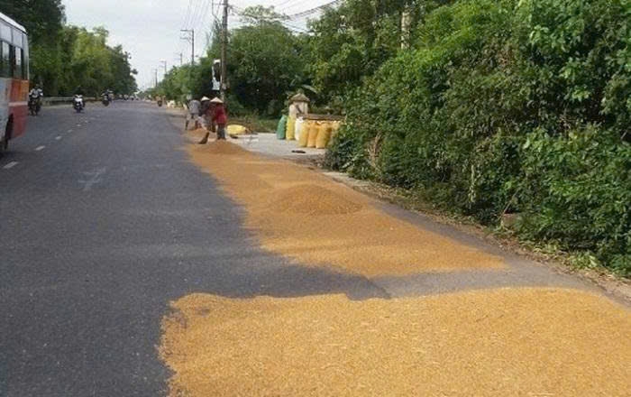 Tăng cường tuyên truyền bảo vệ môi trường, đảm bảo an toàn giao thông mùa thu hoạch nông sản tại Xã Cư Prao