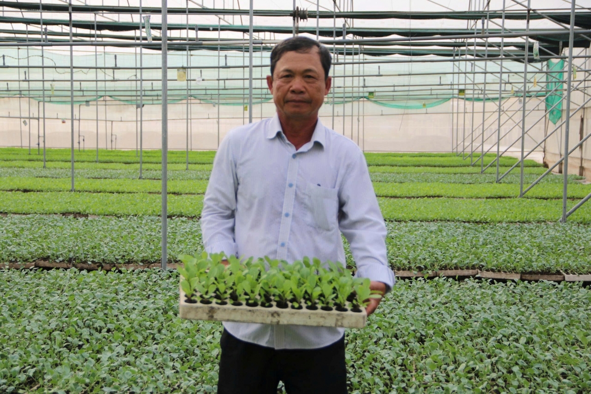 “Tỷ phú cây giống” Út Nay và hành trình bứt phá nhờ dám nghĩ, dám làm