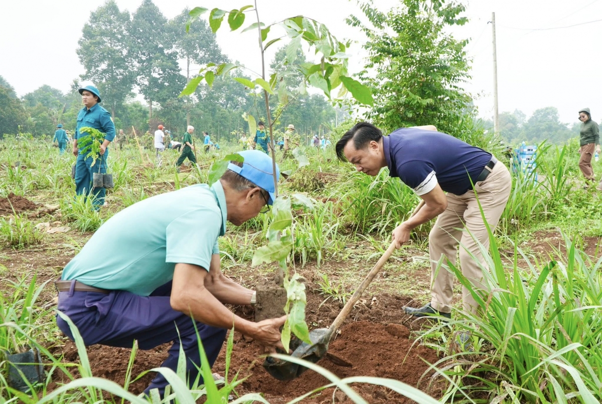 TP.HCM: Nhiều hoạt động hưởng ứng Ngày Môi trường thế giới 5/6