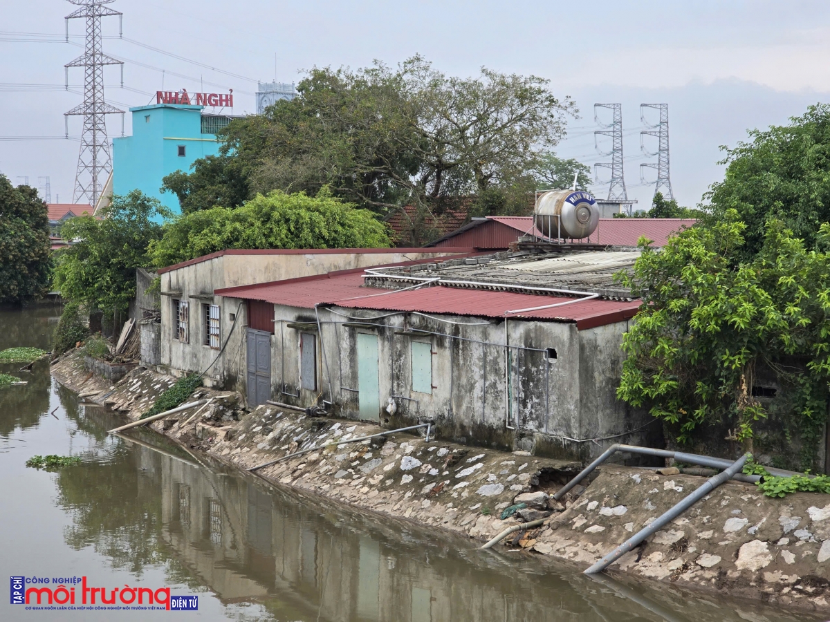 Xã Hồng Phong (Ninh Bình): Lò giết mổ gia súc hoạt động ngày đêm trong khu dân cư, gây mất an toàn môi trường