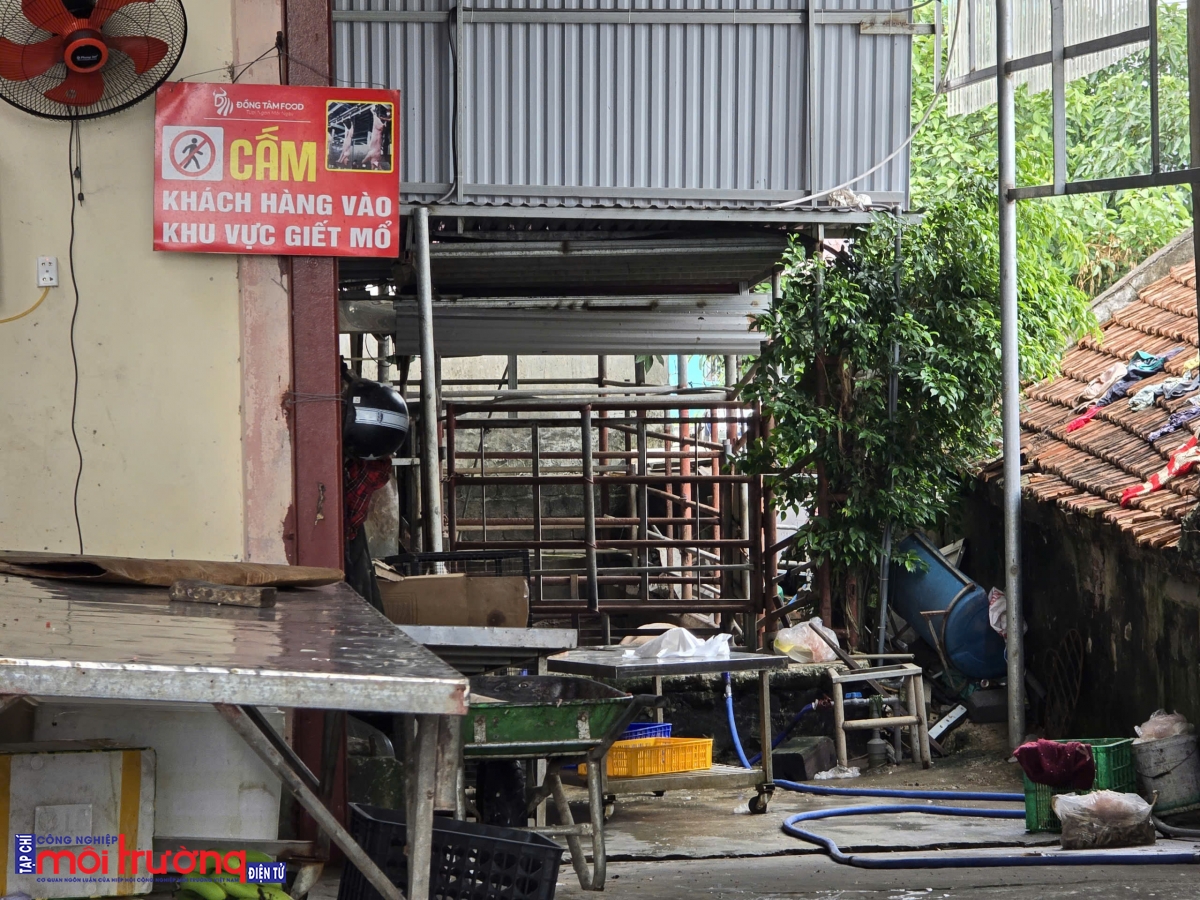 Xã Hồng Phong (Ninh Bình): Lò giết mổ gia súc hoạt động ngày đêm trong khu dân cư, gây mất an toàn môi trường