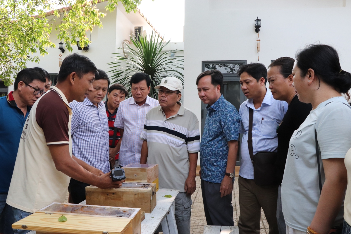 Xã Xuân Sơn, TP.HCM: Phát triển nông nghiệp gắn với du lịch bền vững