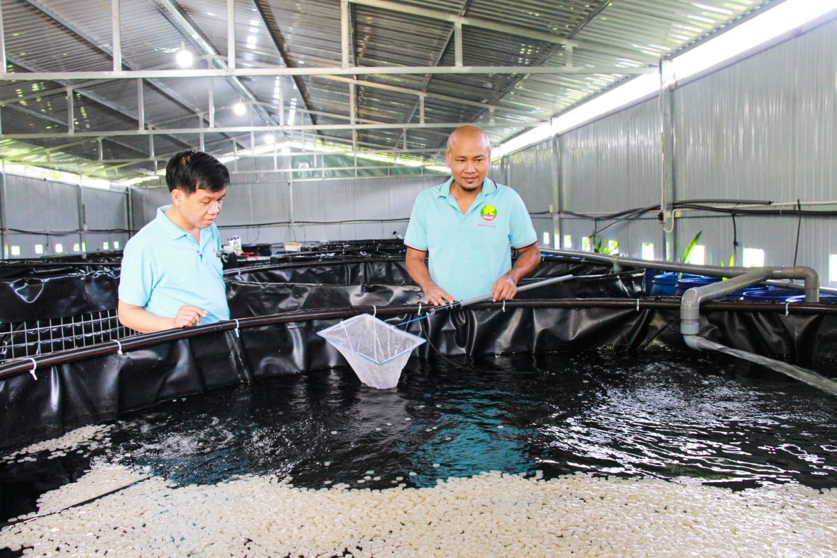 Agribank Châu Đức đẩy mạnh tín dụng ưu đãi và chuyển đổi số, đồng hành cùng doanh nghiệp, người dân phát triển kinh tế bền vững
