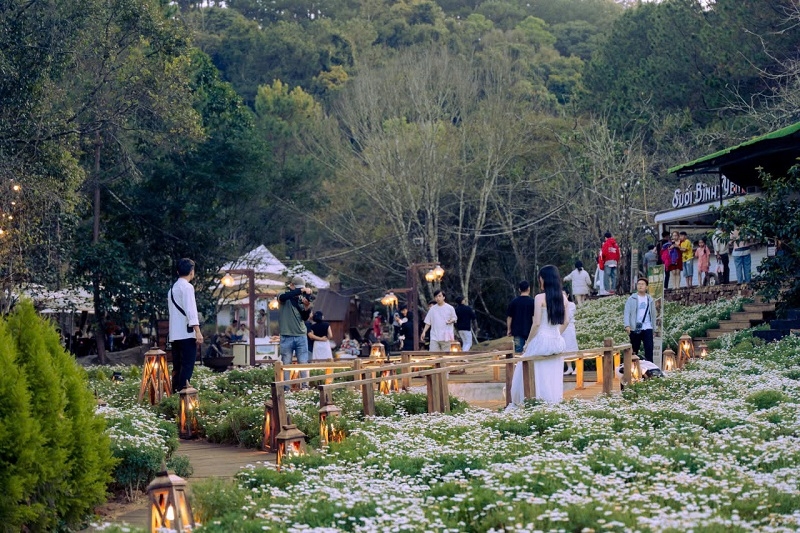 Festival Hoa Đà Lạt 2026: Lan tỏa giá trị xanh, nâng tầm thương hiệu đô thị sáng tạo UNESCO