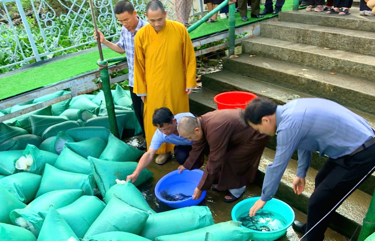 Đồng Nai: “Hồi sinh” những dòng sông