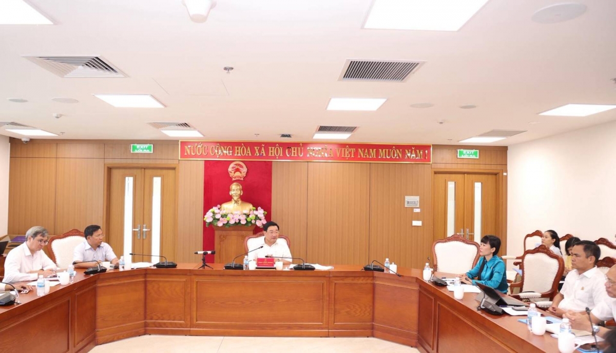 “Lưới tàng hình” bủa vây chim hoang dã, Khánh Hòa phát lệnh khẩn