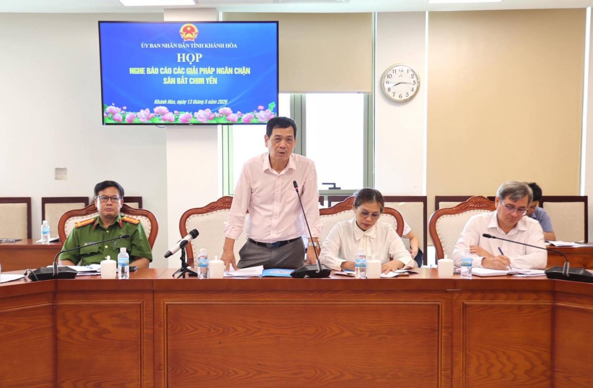 “Lưới tàng hình” bủa vây chim hoang dã, Khánh Hòa phát lệnh khẩn