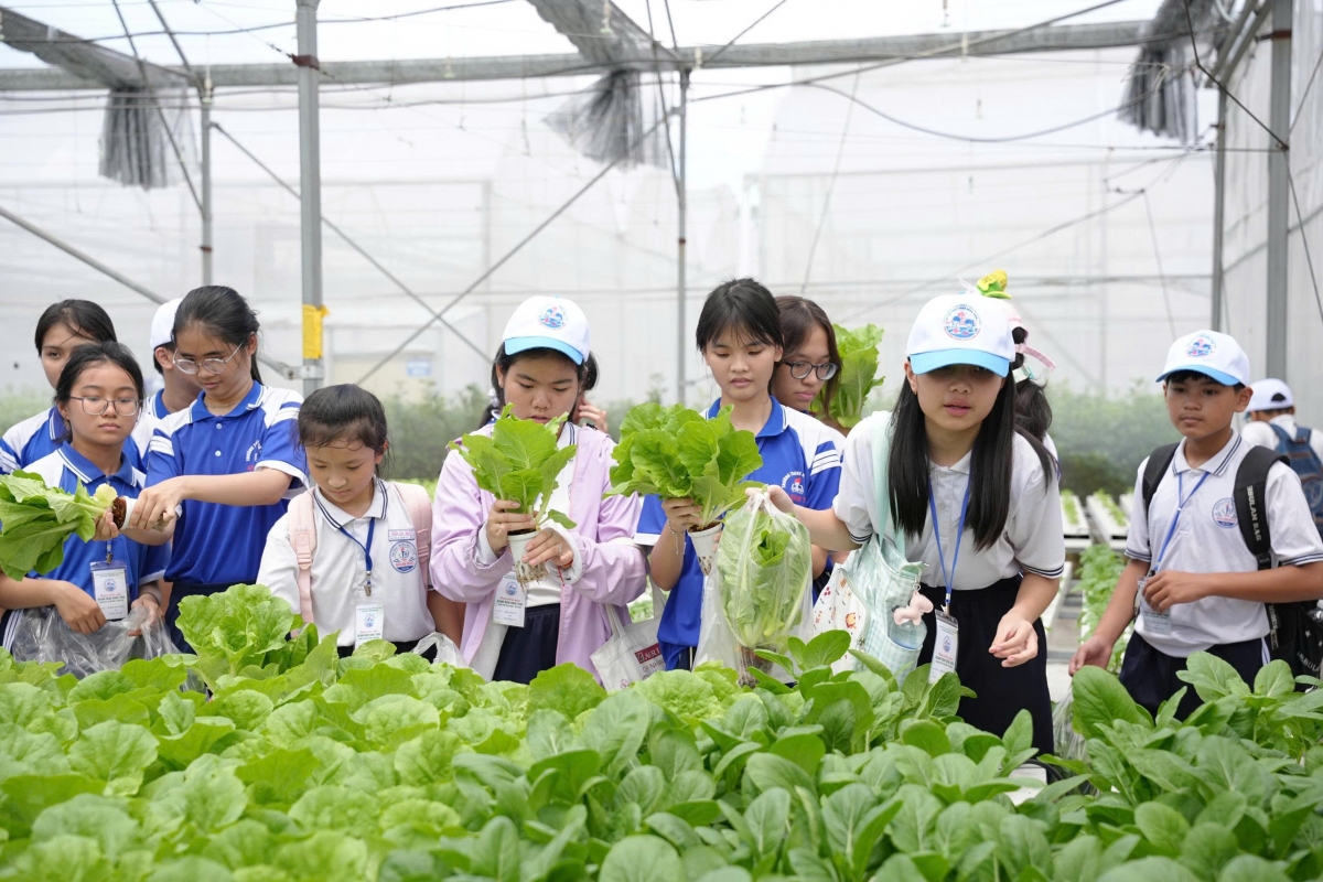 Học sinh TP.HCM tham quan, trải nghiệm nông nghiệp công nghệ cao