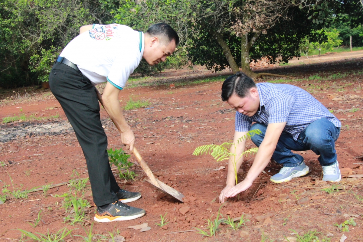 Xã Hòa Hội ra quân trồng cây xanh, hưởng hứng phong trào thành phố muôn sắc hoa