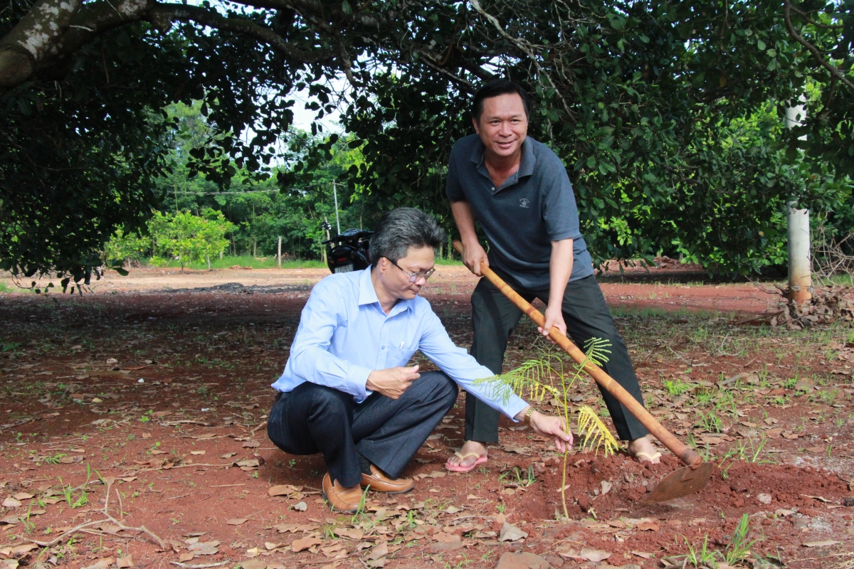 Xã Hòa Hội ra quân trồng cây xanh, hưởng hứng phong trào thành phố muôn sắc hoa