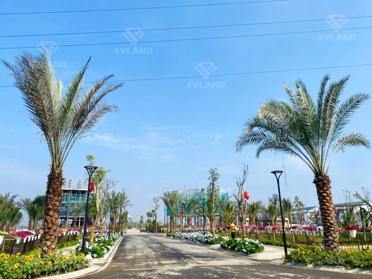 Hãy định hướng con đường nghề nghiệp của bạn với Trí Dương Group Hãy định hướng con đường nghề nghiệp của bạn với Trí Dương Group