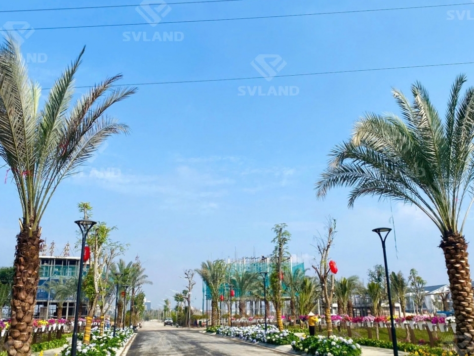 Hãy định hướng con đường nghề nghiệp của bạn với Trí Dương Group