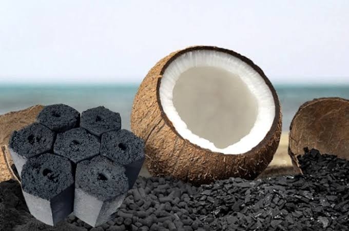 Than sinh học từ gáo dừa có hàm lượng carbon cao 