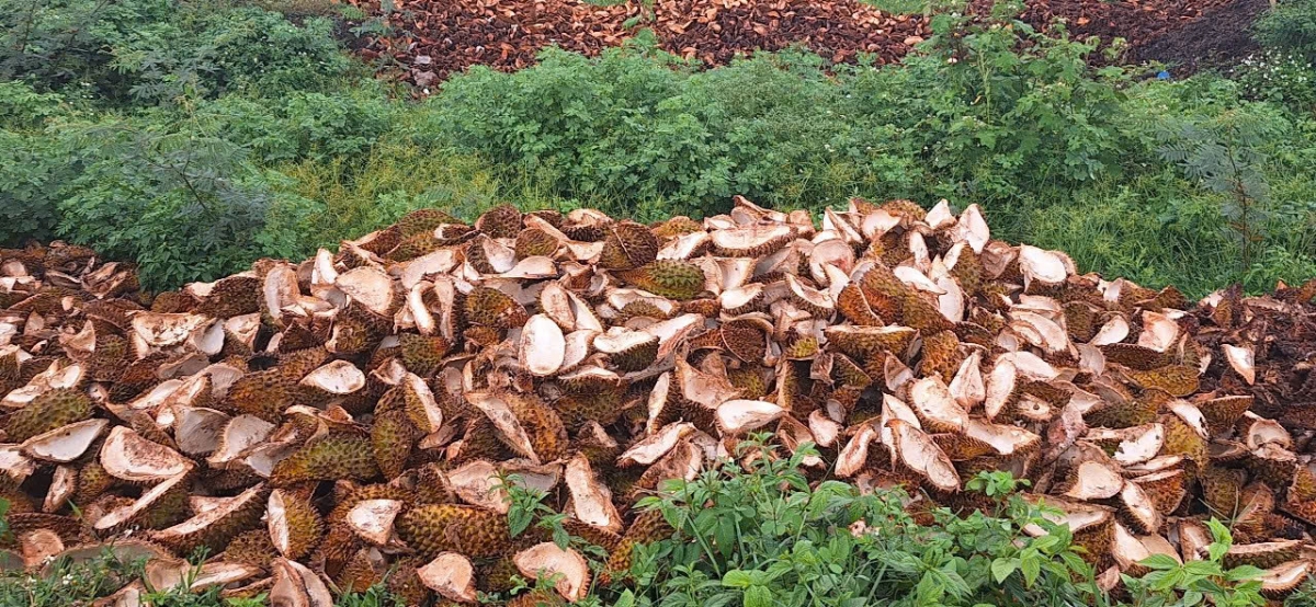 Đắk Lắk công bố đường dây nóng tiếp nhận phản ánh vi phạm pháp luật về môi trường
