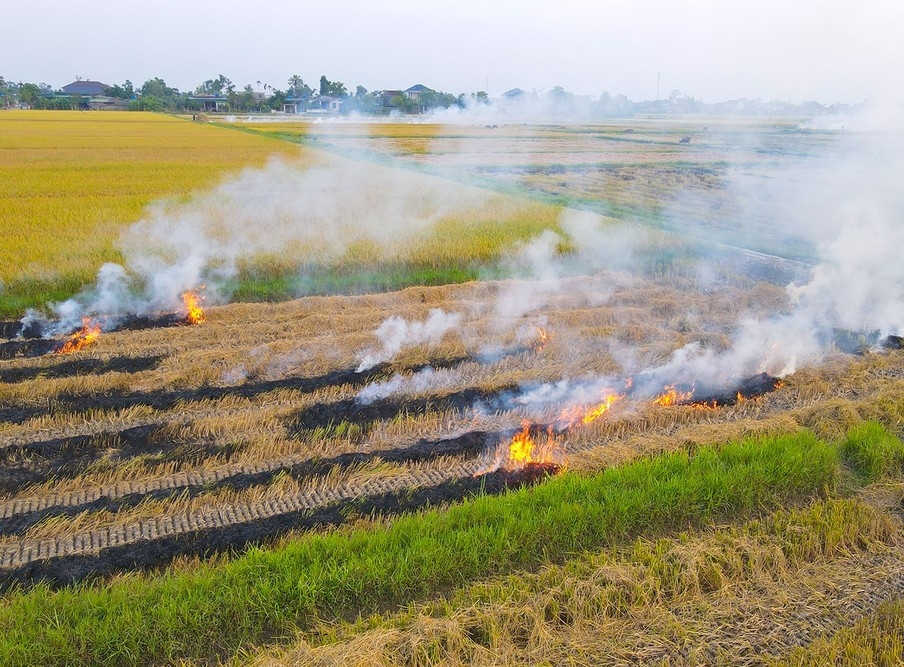 Xã Nga Thắng, tỉnh Thanh Hóa: Chỉ đạo nghiêm cấm đốt rơm rạ, phụ phẩm cây nông nghiệp trên địa bàn