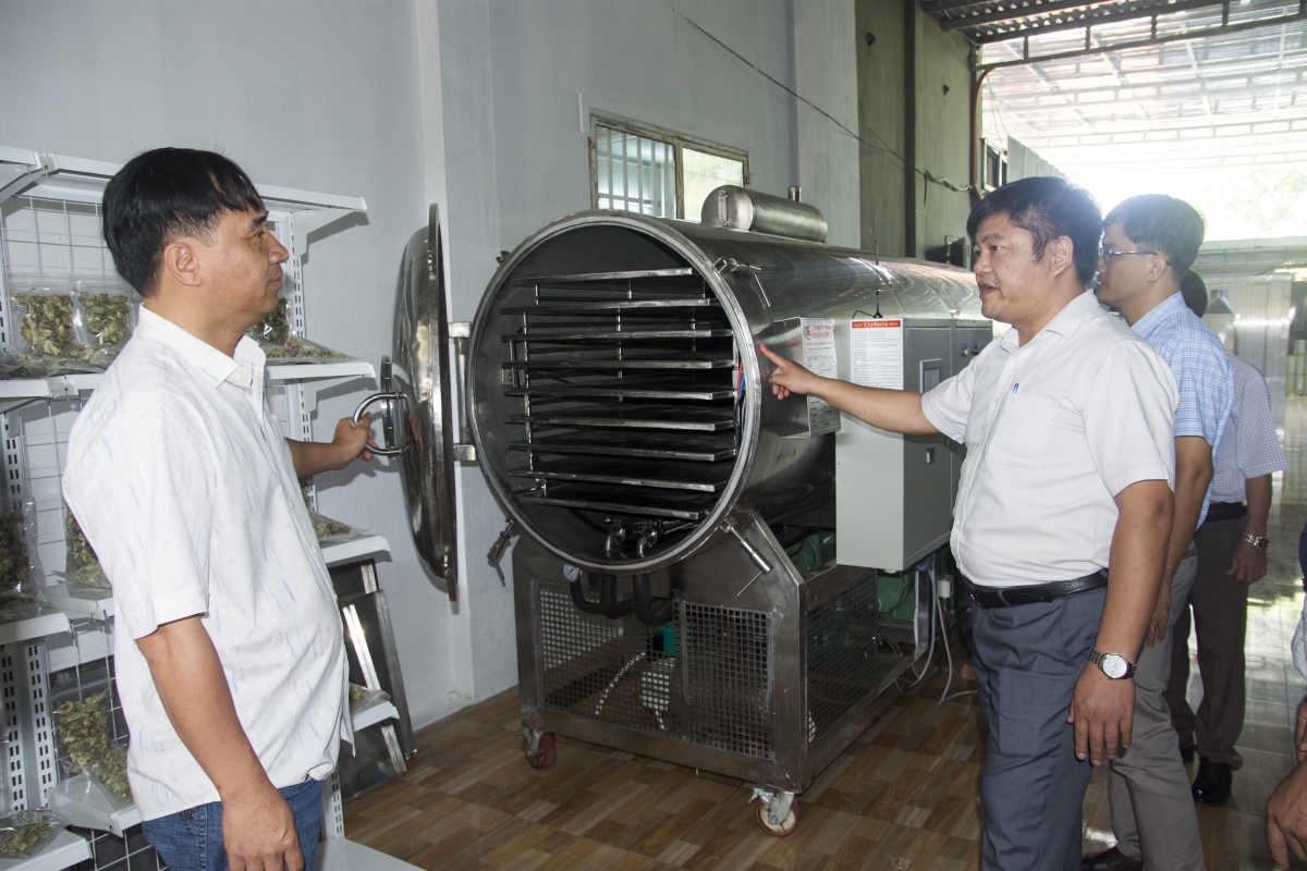 Hỗ trợ cơ giới hóa sản xuất nông nghiệp gắn với bảo vệ môi trường