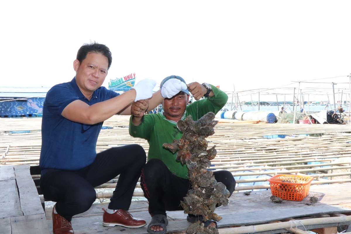 Hỗ trợ cơ giới hóa sản xuất nông nghiệp gắn với bảo vệ môi trường