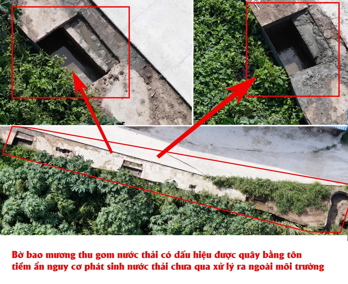 Gia Lai: Cần nâng cao trách nhiệm bảo vệ môi trường trong chăn nuôi, góp phần thúc đẩy ngành công nghiệp môi trường