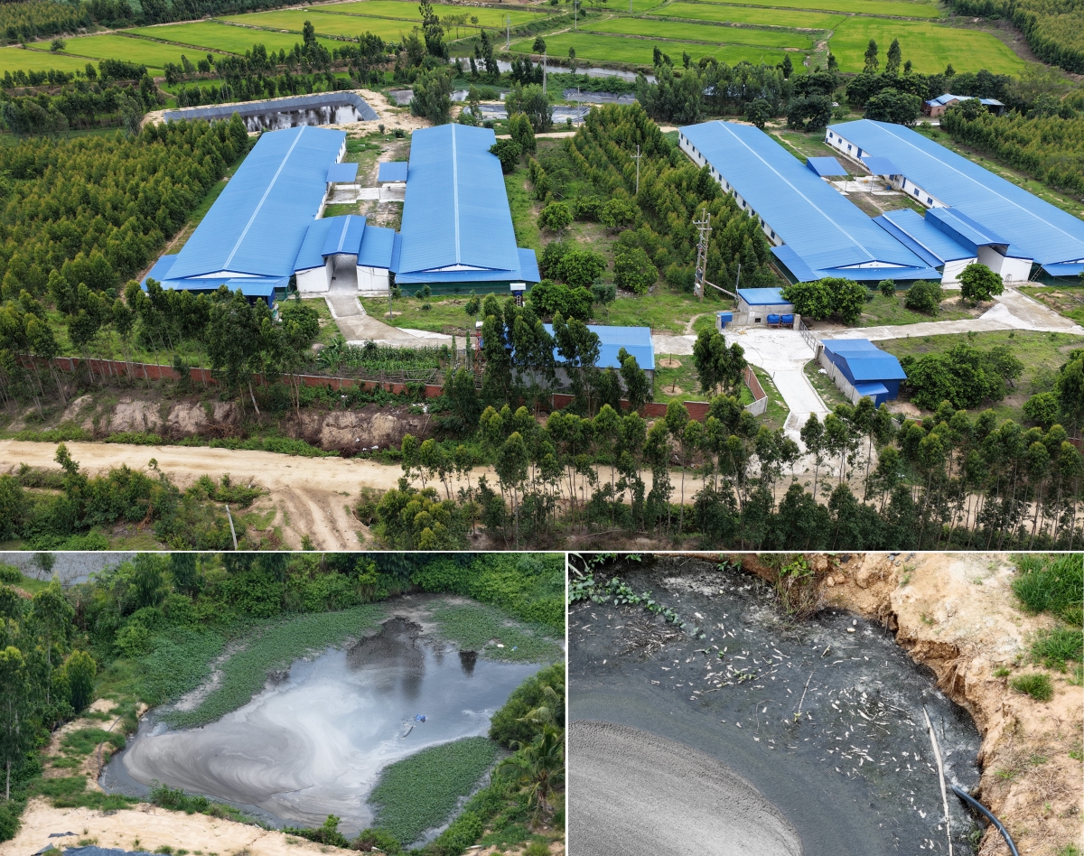 Gia Lai: Cần nâng cao trách nhiệm bảo vệ môi trường trong chăn nuôi, góp phần thúc đẩy ngành công nghiệp môi trường