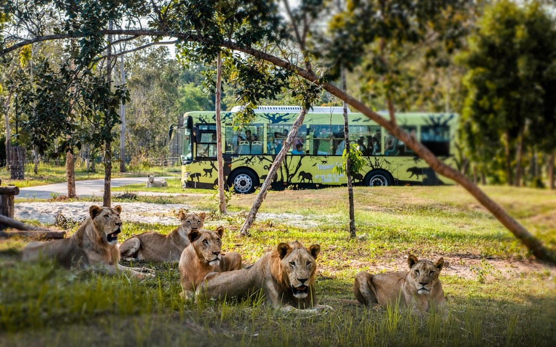 Nắm giữ 'kỷ lục kép' thế giới - Vinpearl Safari Phú Quốc 'khủng' cỡ nào?