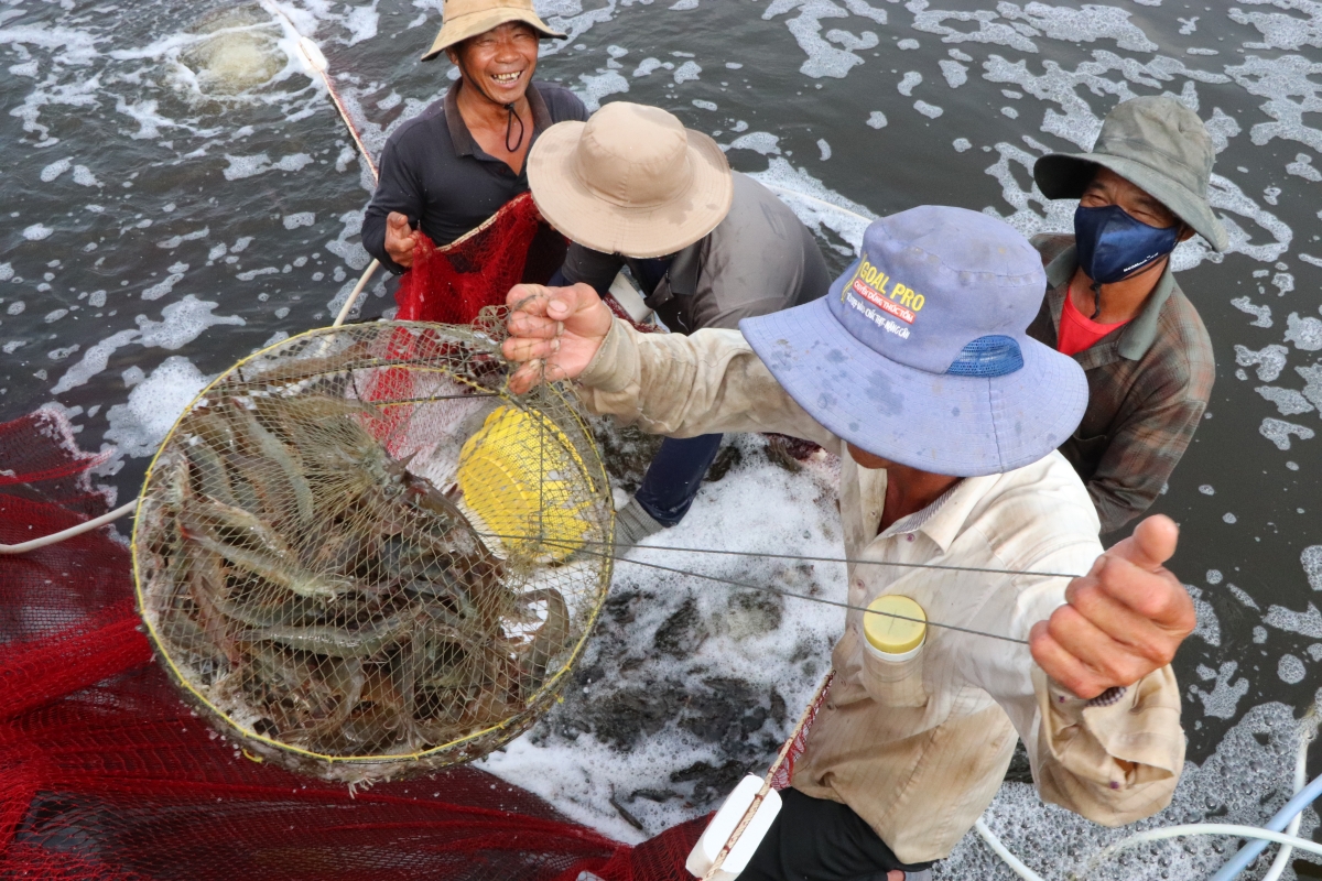 Xã Long Điền, TP.HCM: Kết nối di sản văn hóa, sản xuất nông nghiệp và chuyển đổi số, mở hướng phát triển du lịch bền vững