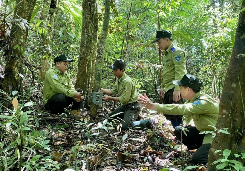 Bẫy ảnh hỗ trợ ghi nhận sự hiện diện của động vật hoang dã, bổ sung dữ liệu phục vụ đánh giá hiện trạng đa dạng sinh học và xây dựng giải pháp bảo tồn phù hợp. Bẫy ảnh hỗ trợ ghi nhận sự hiện diện của động vật hoang dã, bổ sung dữ liệu phục vụ đánh giá hiện trạng đa dạng sinh học và xây dựng giải pháp bảo tồn phù hợp.