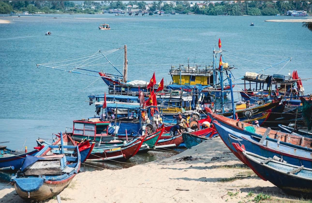 Quy hoạch không gian nuôi biển, thu hút đầu tư và ứng dụng công nghệ được đặt ra như những giải pháp quan trọng nhằm khai thác tiềm năng thủy sản, nâng cao hiệu quả sản xuất và thúc đẩy kinh tế biển.