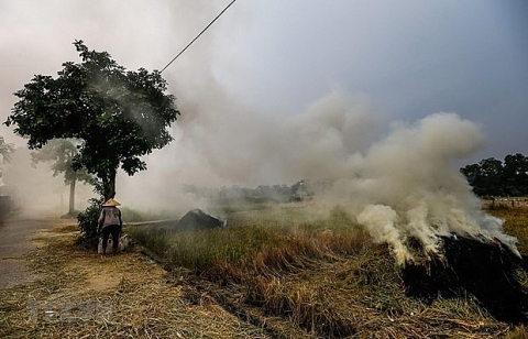 Vĩnh Phúc: Khắc phục tình trạng đốt rơm rạ, gây ô nhiễm môi trường
