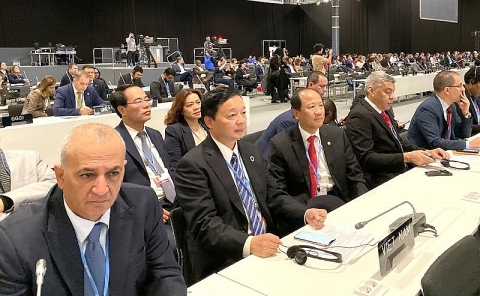 Báo cáo Thủ tướng Chính phủ kết quả Hội nghị COP25