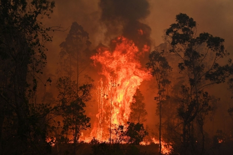 Vệ tinh dự báo cháy rừng