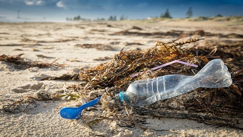 Rác thải nhựa đang di chuyển từ các khu vực đô thị vào đại dương?