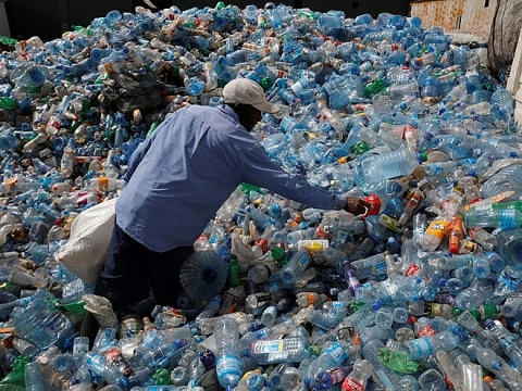 Vi khuẩn phân hủy 1 tấn rác thải chai nhựa trong 10 giờ