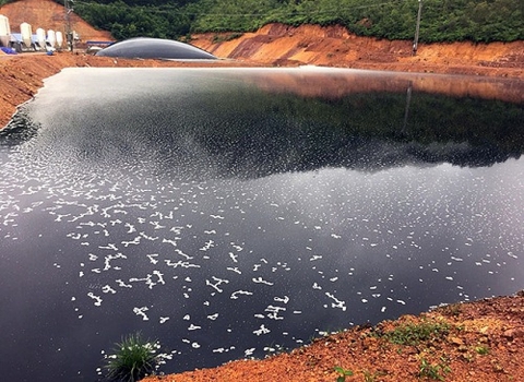 Hiện trạng xả nước thải vào nguồn nước trên địa bàn tỉnh Bắc Giang