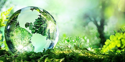  Kinh doanh dịch vụ quan trắc môi trường