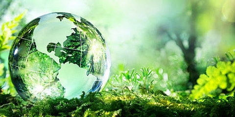 Tiêu chuẩn môi trường góp phần nâng cao hiệu quả, hiệu lực bảo vệ môi trường