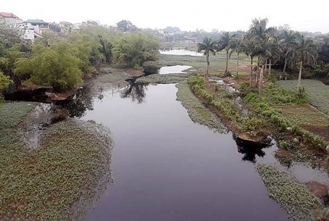 Tình hình ô nhiễm nước sông Nhuệ