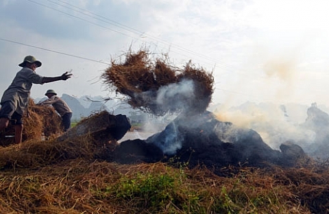 Hà Nội: Đề xuất cấm đốt rơm rạ, phụ phẩm nông nghiệp