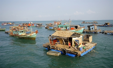 Phát triển nghề nuôi biển theo hướng bền vững