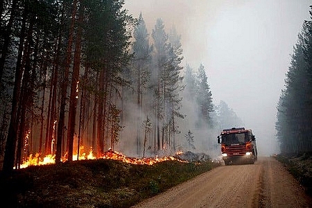 Ô nhiễm không khí ngày trầm trọng vì cháy rừng