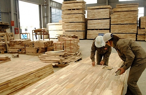 Tạm ngừng kinh doanh chuyển khẩu, kinh doanh tạm nhập gỗ dán vào Việt Nam để tái xuất đi Mỹ