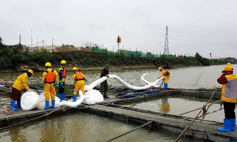Hải Dương: Cảnh báo hiểm họa ô nhiễm do tràn dầu trên sông