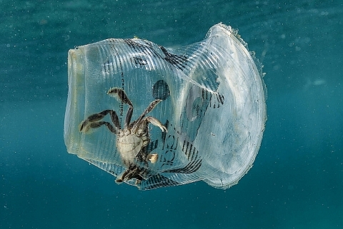 Kiên Giang phấn đấu giảm thiểu 30% rác thải nhựa ra biển