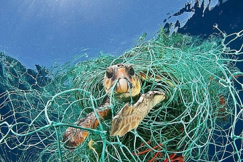 Khởi động Dự án Giảm thiểu rác thải nhựa đại dương