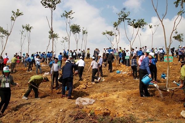 Yên Bái: Tích cực trồng rừng vụ xuân năm 2019