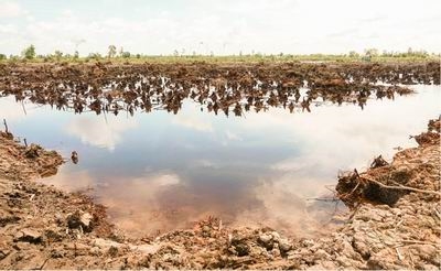 Nghiên cứu xâm nhập mặn trong các tầng chứa nước ở Cà Mau, Bạc Liêu