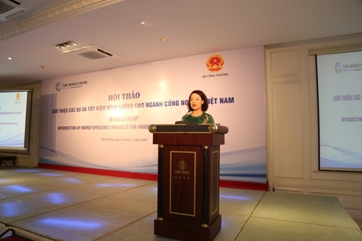 Đẩy mạnh triển khai hoạt động đầu tư đổi mới công nghệ sử dụng năng lượng tiết kiệm và hiệu quả tại doanh nghiệp các ngành công nghiệp tại Việt Nam