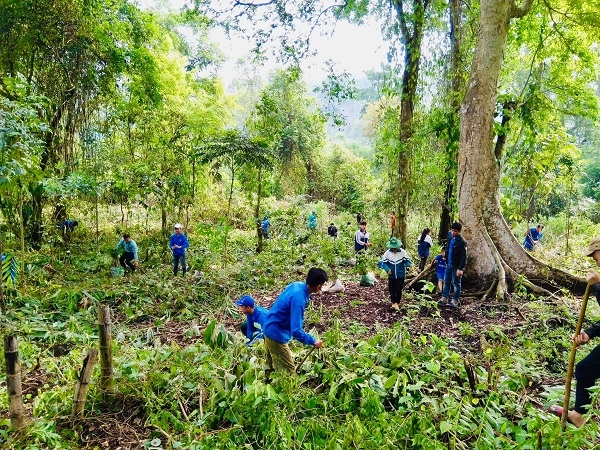 Ra quân phát động trồng 2.500 cây xanh tại thành phố Sơn La
