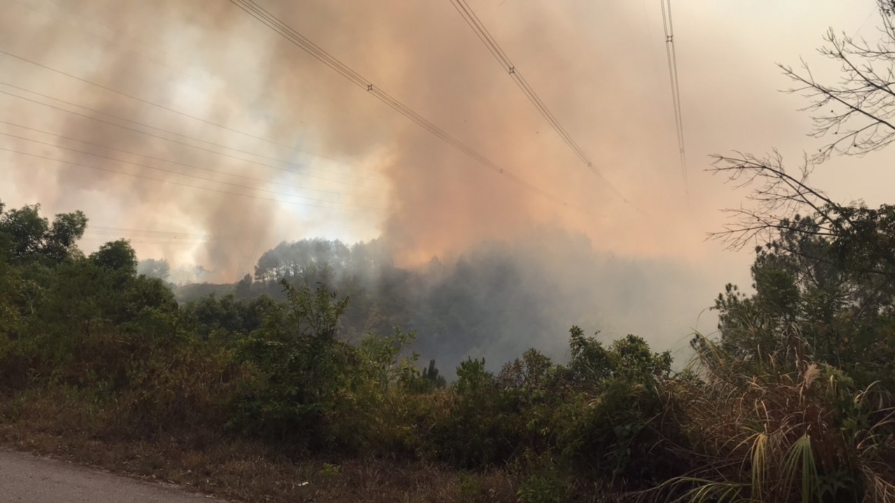 Đoạn tuyến đường dây 500 kV bị ảnh hưởng do cháy rừng đã được an toàn